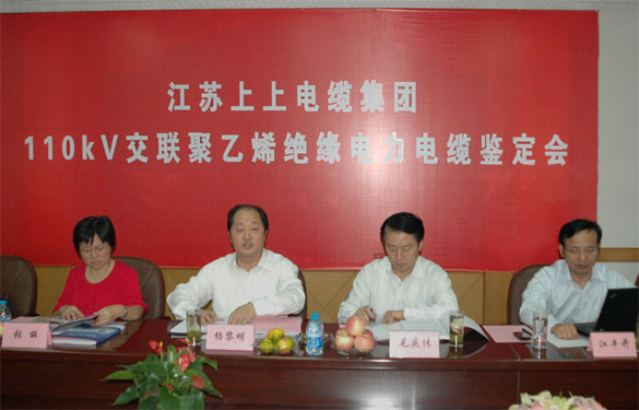 mg不朽情缘额定电压110kV交联聚乙烯绝缘电力电缆产品通过判断