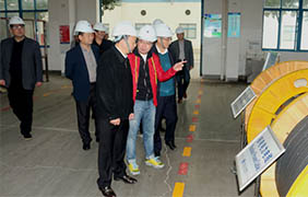 2015年11月22日，，，，郎溪县党政代表团一行来mg不朽情缘电缆旅行考察