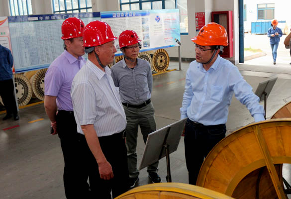 2016年5月14日，，，，，，宁夏回族自治区人民政府研究室副主任苏昀一行来mg不朽情缘电缆调研