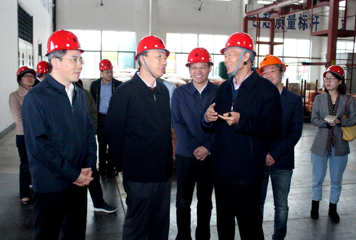 江苏省副省长马秋林一行来mg不朽情缘电缆调研