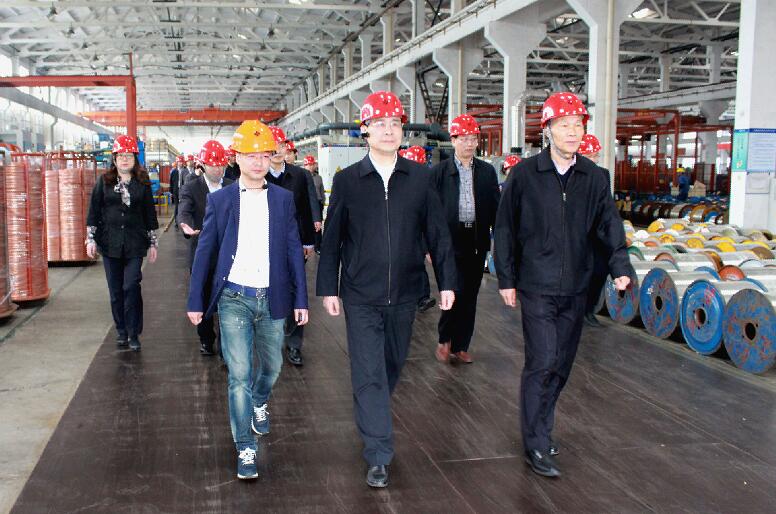 南京市六合区党政代表团来mg不朽情缘电缆旅行考察