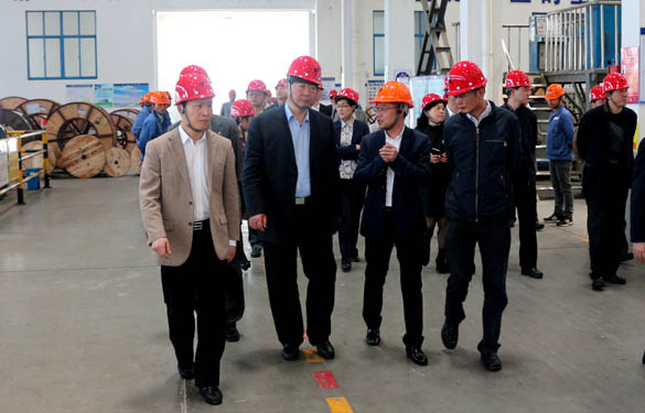 常州市副市长李小平一行来mg不朽情缘电缆考察