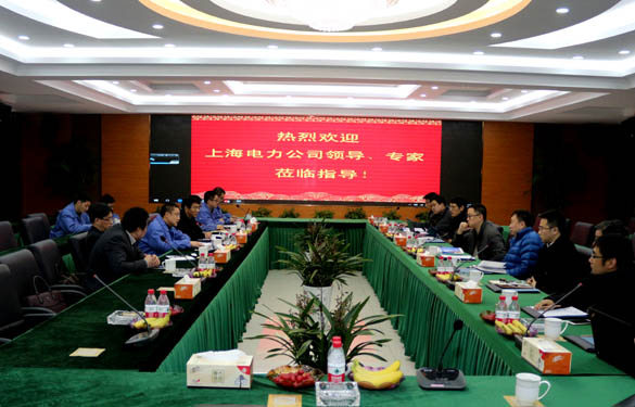 上海电力公司、上缆所向导、专家一行来mg不朽情缘电缆交流考察