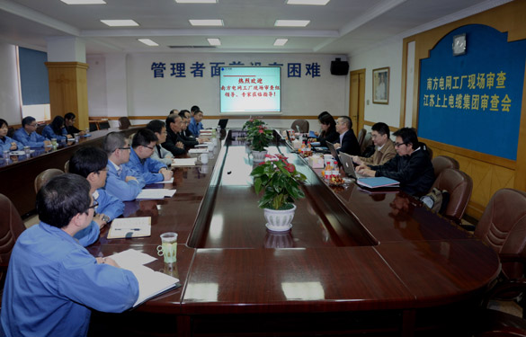 mg不朽情缘电缆顺遂通过南方电网公司工厂现场审查