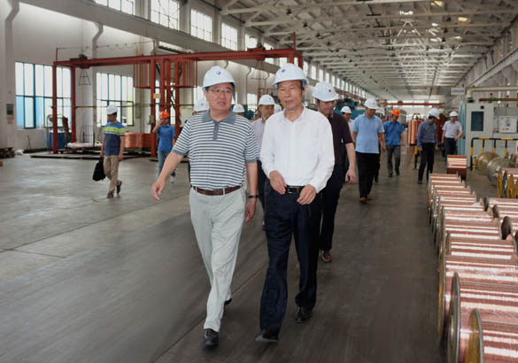 中国恒天集团董事长张杰一行来mg不朽情缘电缆旅行考察