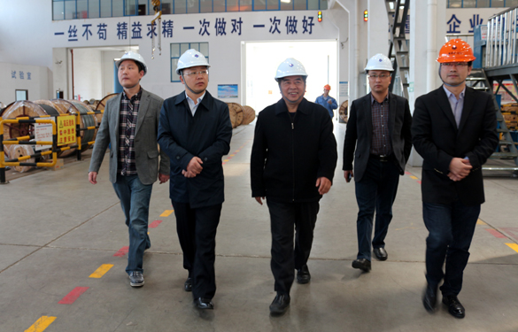 2015年3月26日，，，，江苏省射阳县向导一行来mg不朽情缘电缆视察