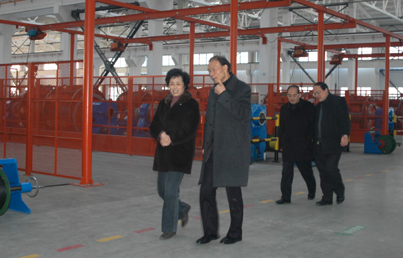 江苏省经信委副主任顾瑜芳一行来mg不朽情缘调研