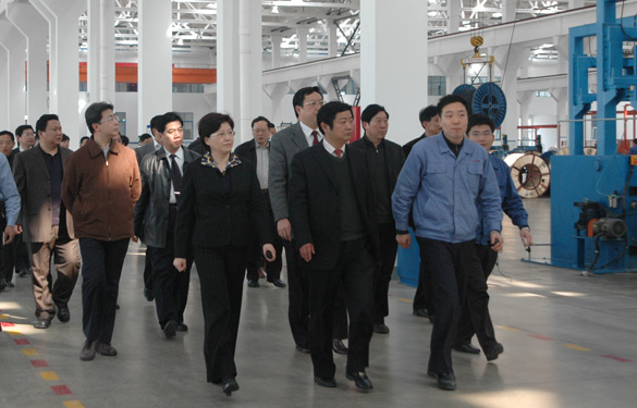 安徽省天长市党政代表团百余人来mg不朽情缘集团旅行考察