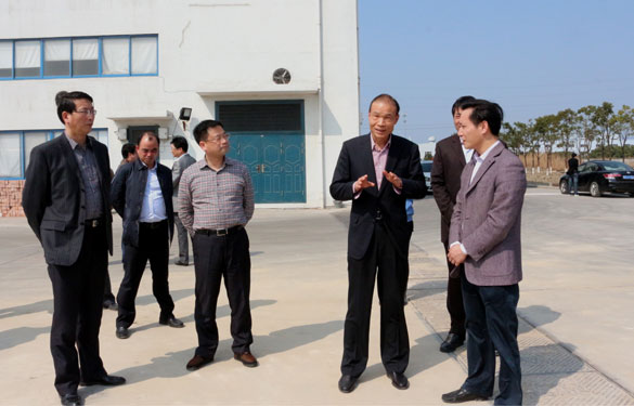 溧阳市代市长蒋锋一行来mg不朽情缘集团督查新开工项目