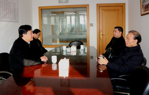 溧阳市委书记盛建良来mg不朽情缘调研