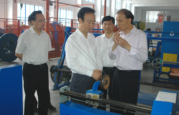 常州市委书记范燕青一行来mg不朽情缘视察