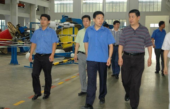 淮南市王市长一行来mg不朽情缘旅行考察