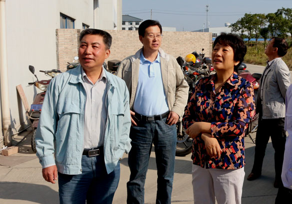 10月14日，，，，，溧阳市向导来mg不朽情缘电缆调研