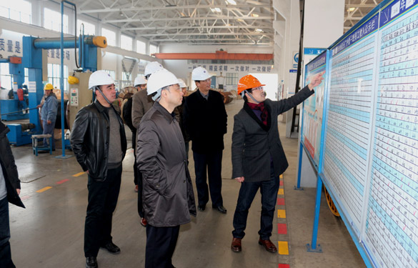 12月25日，，，，，广德县政府考察团来mg不朽情缘考察