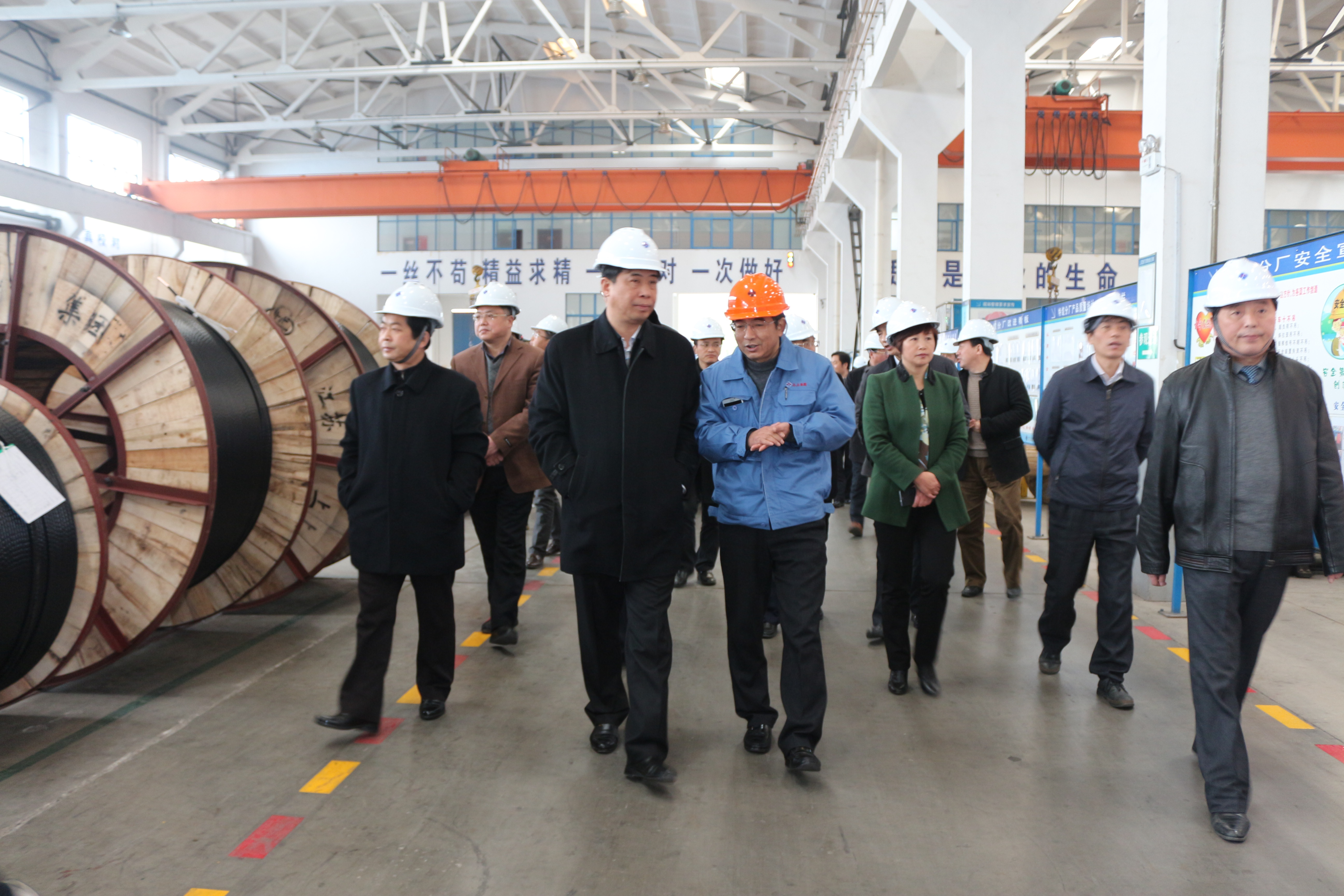 2015年3月11日，，，，，安徽省和县党政代表团一行来mg不朽情缘电缆考察