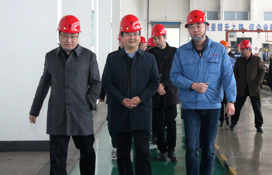 2020年12月8日，，，广德市市委常委、常务副市长邱铁军一行来mg不朽情缘电缆考察