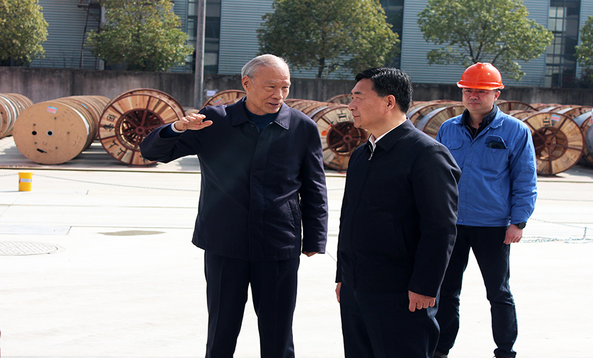 常州市人大常委会副主任盛建良来mg不朽情缘电缆考察
