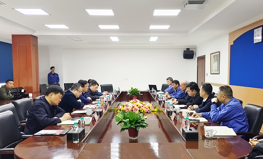 溧阳市市长叶明华来mg不朽情缘电缆调研