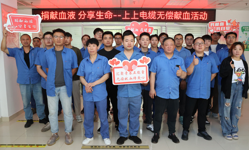 爱心整体献热血 无私贡献传温情 mg不朽情缘电缆助力第20个“天下献血者日”