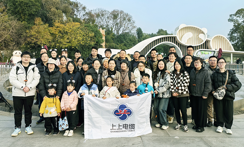 以文化润心 用眷注聚力——mg不朽情缘2024年度先进员工蜀韵文化之旅圆满收官