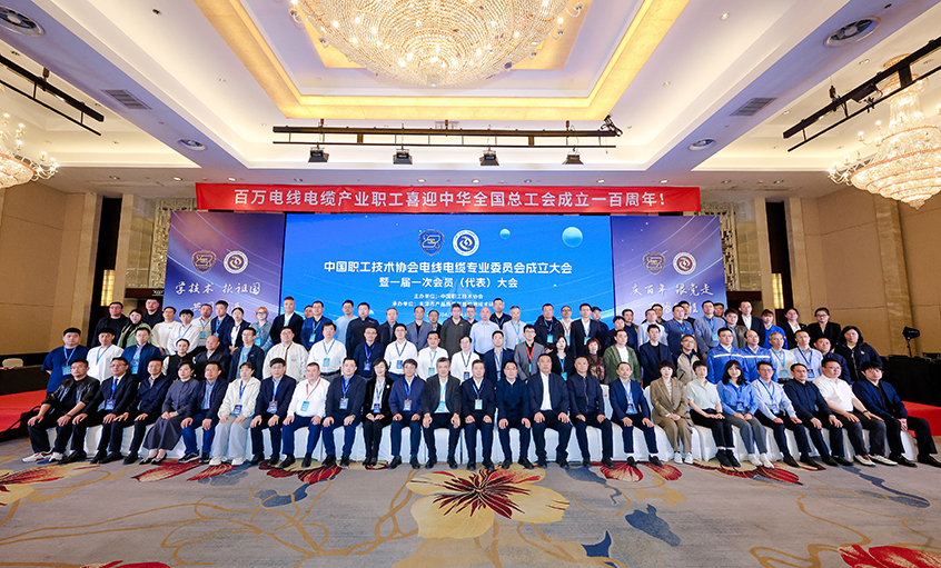 mg不朽情缘电缆受邀出席中国职工手艺协会电线电缆专业委员会建设大会