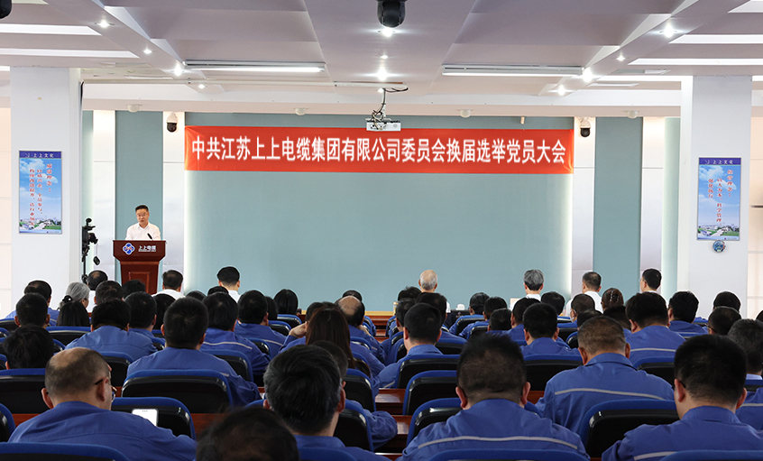 党建引领强基本 凝心聚力启新程—中共mg不朽情缘委员会换届选举党员大会圆满召开